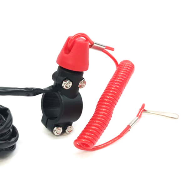 Switch Jet Sky